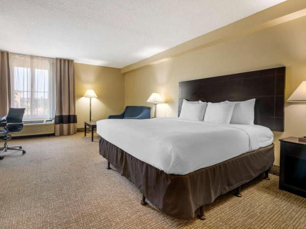 Comfort Inn International Dr : photo 1 de la chambre chambre avec 2 lits queen-size - canapé-lit