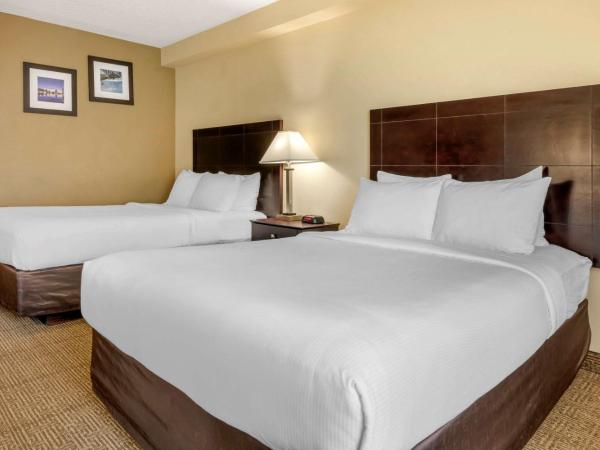 Comfort Inn International Dr : photo 4 de la chambre chambre avec 2 lits queen-size - canapé-lit