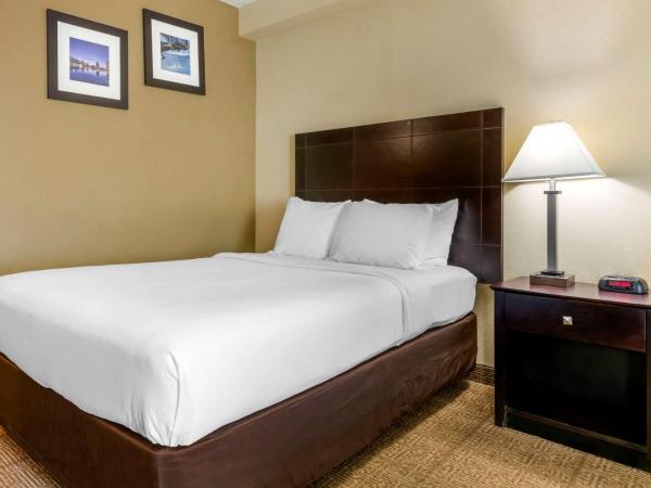 Comfort Inn International Dr : photo 5 de la chambre chambre avec 2 lits queen-size - canapé-lit