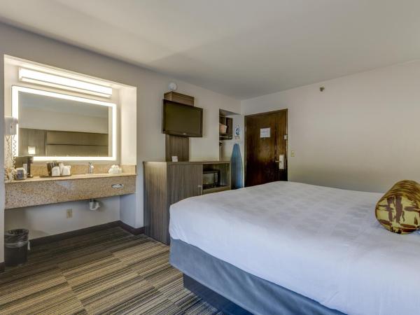 Alexis Inn and Suites Hotel : photo 8 de la chambre chambre lit king-size