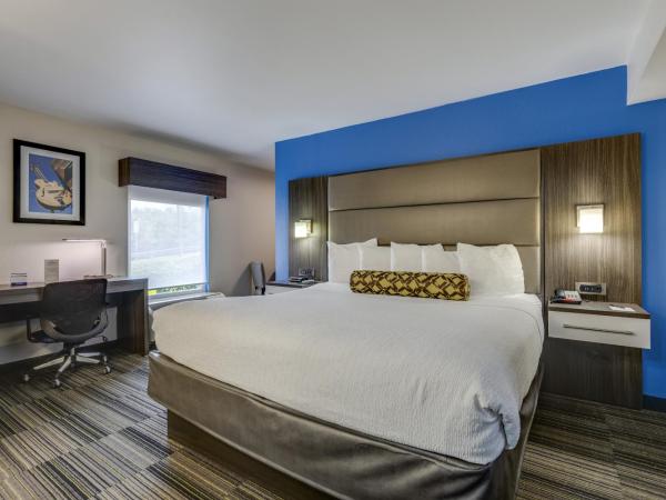 Alexis Inn and Suites Hotel : photo 6 de la chambre chambre lit king-size deluxe