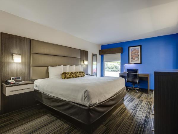 Alexis Inn and Suites Hotel : photo 2 de la chambre chambre lit king-size
