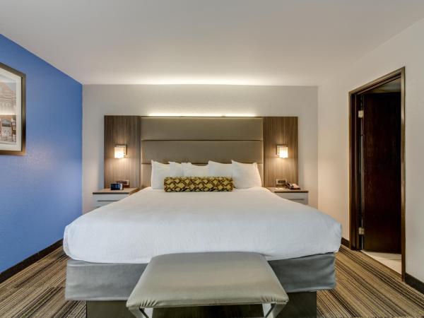 Alexis Inn and Suites Hotel : photo 1 de la chambre chambre lit king-size