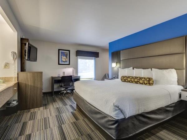 Alexis Inn and Suites Hotel : photo 2 de la chambre chambre lit king-size deluxe