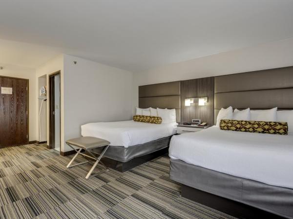 Alexis Inn and Suites Hotel : photo 3 de la chambre chambre standard avec 2 lits queen-size