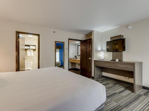 Alexis Inn and Suites Hotel : photo 10 de la chambre suite lit king-size