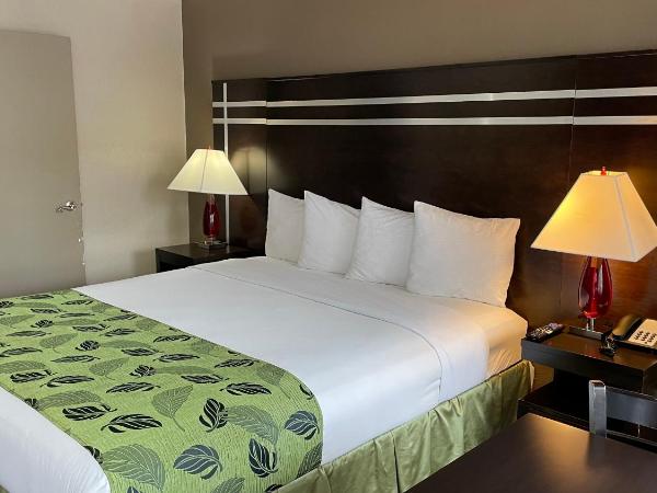 Motel Capri : photo 2 de la chambre chambre lit king-size - accessible aux personnes à mobilité réduite