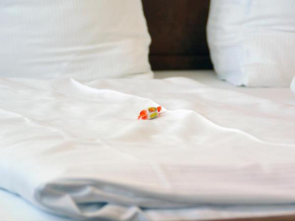 Panoramagasthof DaxLueg : photo 6 de la chambre appartement