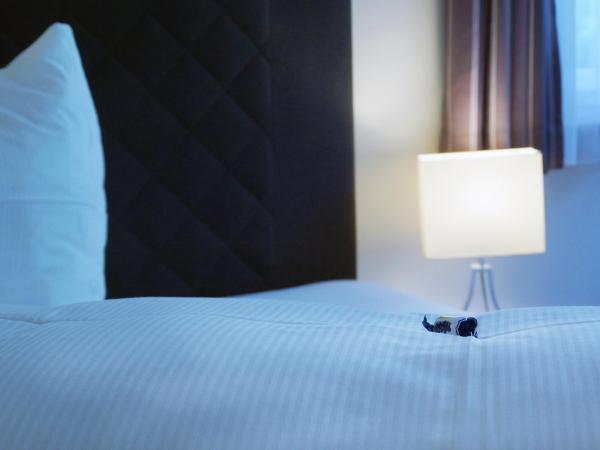 Panoramagasthof DaxLueg : photo 1 de la chambre appartement avec vue sur la montagne