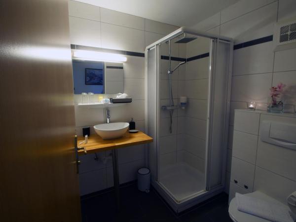 Panoramagasthof DaxLueg : photo 4 de la chambre appartement avec vue sur la montagne