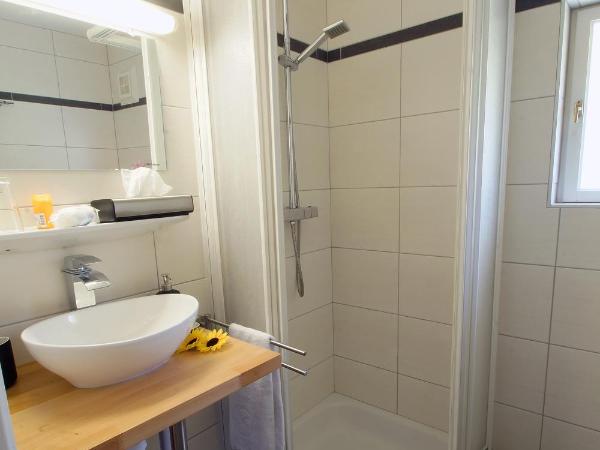 Panoramagasthof DaxLueg : photo 6 de la chambre appartement avec vue sur la montagne