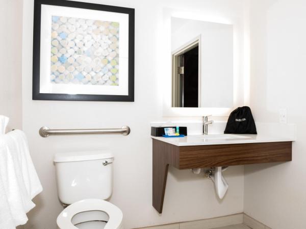 Holiday Inn Express Hotel & Suites Tampa-USF-Busch Gardens, an IHG Hotel : photo 3 de la chambre chambre double avec 2 lits doubles - accessible aux personnes malentendantes - non-fumeurs 