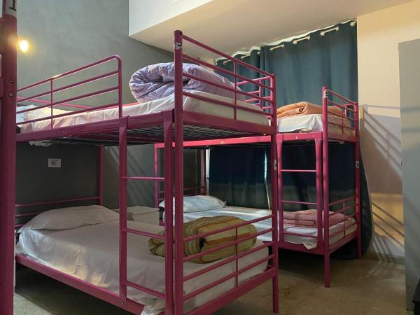 Lion Hostel : photo 1 de la chambre lit dans dortoir pour femmes de 6 lits