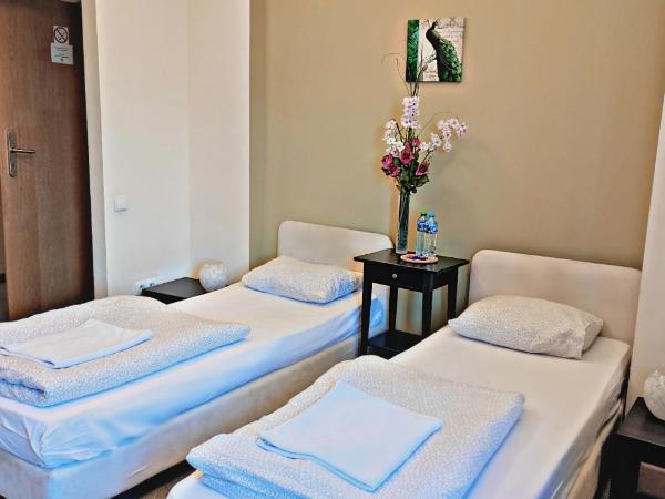 Hostel Helvetia - PRIVATE ROOMS in CITY CENTER and OLD TOWN : photo 1 de la chambre chambre lits jumeaux avec salle de bains privative