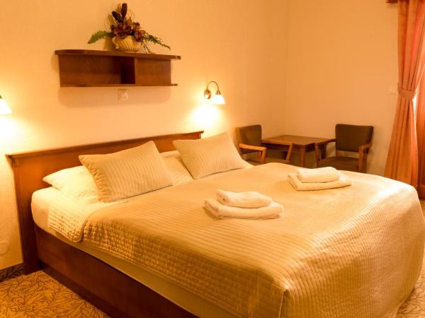 Hotel Vítkova Hora - Veitsberg : photo 1 de la chambre chambre double