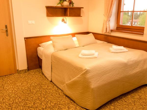 Hotel Vítkova Hora - Veitsberg : photo 1 de la chambre chambre double deluxe avec baignoire