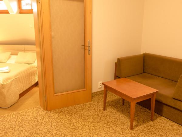 Hotel Vítkova Hora - Veitsberg : photo 5 de la chambre suite