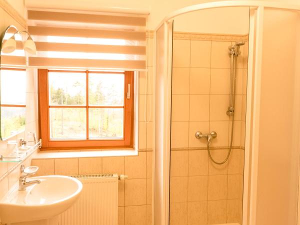 Hotel Vítkova Hora - Veitsberg : photo 2 de la chambre suite