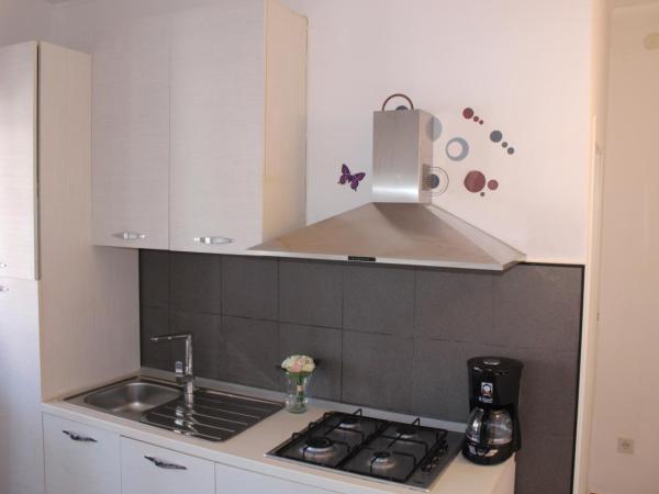 Villa Brajković : photo 3 de la chambre appartement 1 chambre avec terrasse