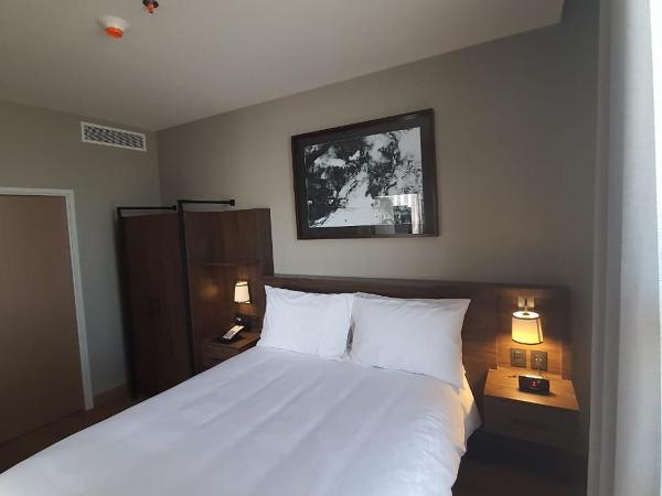 Staybridge Suites - Guadalajara Novena, an IHG Hotel : photo 1 de la chambre suite 1 chambre lit king-size