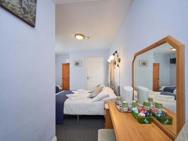 The Wilton International : photo 4 de la chambre chambre triple confort avec douche