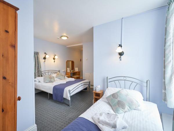 The Wilton International : photo 2 de la chambre chambre triple confort avec douche