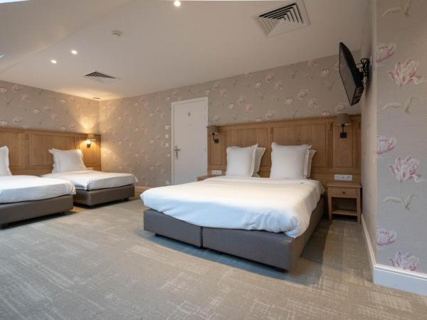 Hotel du Théâtre : photo 6 de la chambre chambre familiale