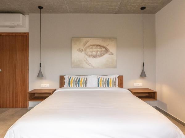 Kallisté Porticcio AppartHotel Golfe d Ajaccio : photo 3 de la chambre appartement deluxe