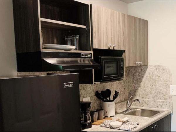 Savannah Suites Atlanta Airport : photo 2 de la chambre chambre lit queen-size 