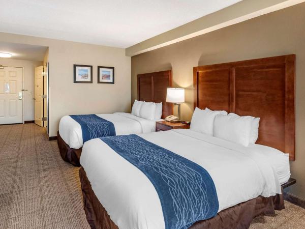 Comfort Inn & Suites Virginia Beach - Norfolk Airport : photo 4 de la chambre chambre avec 2 lits queen-size - accessible aux personnes à mobilité réduite - non-fumeurs 