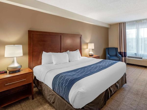 Comfort Inn & Suites Virginia Beach - Norfolk Airport : photo 1 de la chambre chambre lit king-size - non-fumeurs
