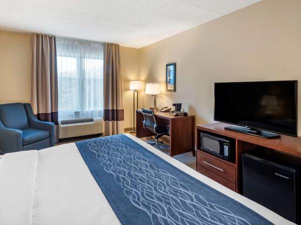 Comfort Inn & Suites Virginia Beach - Norfolk Airport : photo 2 de la chambre chambre lit king-size - non-fumeurs