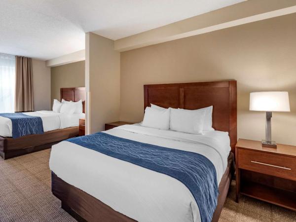 Comfort Inn & Suites Virginia Beach - Norfolk Airport : photo 2 de la chambre chambre 2 lits queen-size - non-fumeurs