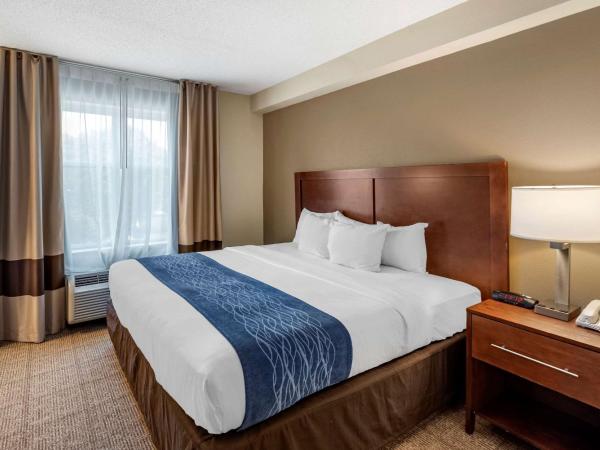 Comfort Inn & Suites Virginia Beach - Norfolk Airport : photo 2 de la chambre suite lit king-size – non-fumeurs