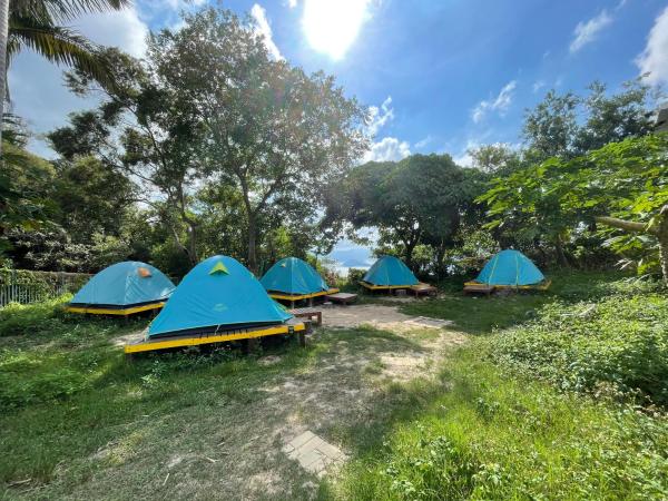 YHA Jockey Club Mt. Davis Youth Hostel : photo 2 de la chambre tente