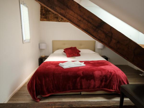 Hôtel du Raisin : photo 2 de la chambre grand studio