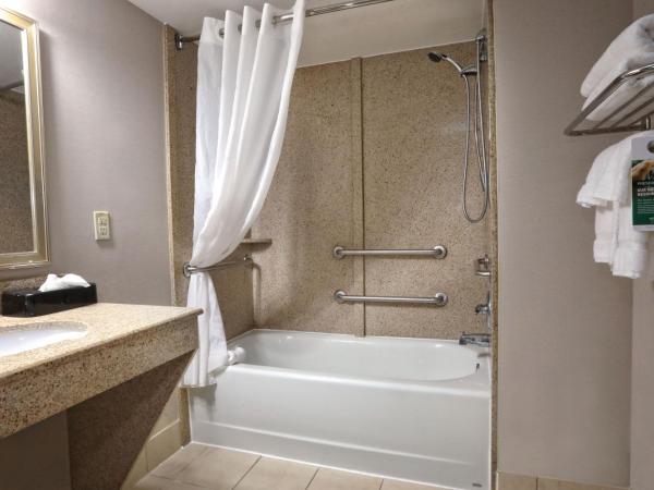 Wingate by Wyndham Savannah Pooler : photo 4 de la chambre chambre lit king-size - non-fumeurs