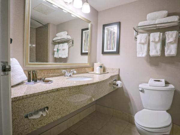 Wingate by Wyndham Savannah Pooler : photo 5 de la chambre chambre lit king-size - non-fumeurs