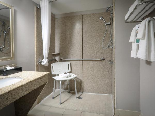 Wingate by Wyndham Savannah Pooler : photo 5 de la chambre chambre lit king-size pour personnes à mobilité réduite - non-fumeurs