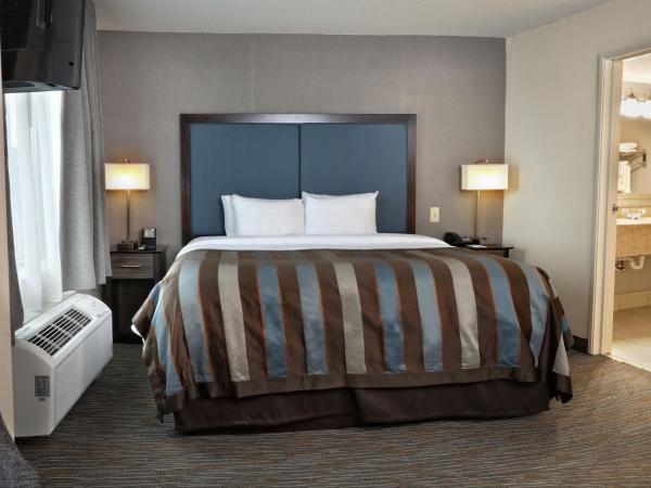 Wingate by Wyndham Savannah Pooler : photo 2 de la chambre suite studio lit king-size - non-fumeurs