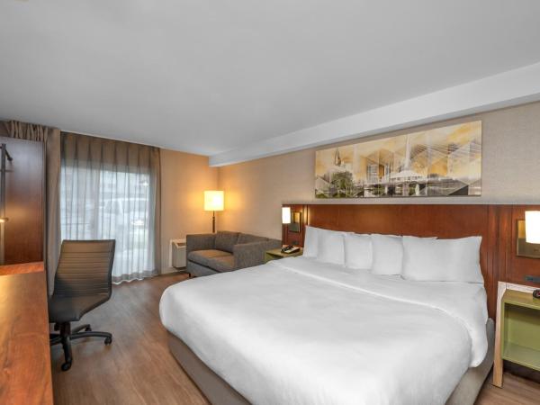 Comfort Inn West : photo 8 de la chambre hébergement lit king-size - non-fumeurs - rez-de-chaussée - animaux domestiques admis