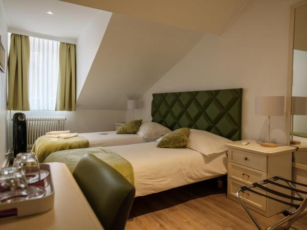 Hôtel du Raisin : photo 2 de la chambre chambre lits jumeaux