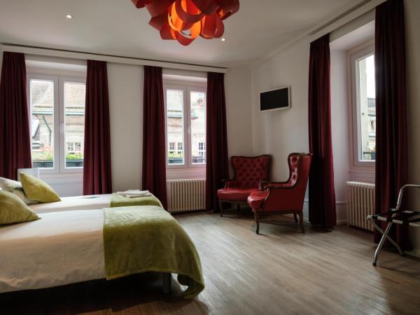 Hôtel du Raisin : photo 4 de la chambre chambre lits jumeaux spacieuse