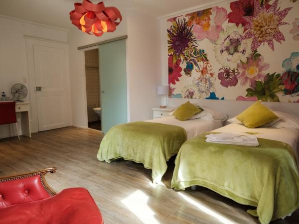 Hôtel du Raisin : photo 5 de la chambre chambre lits jumeaux spacieuse