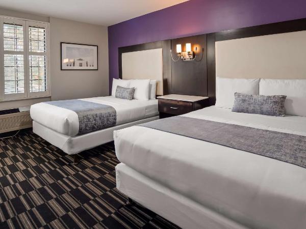 SureStay Hotel by Best Western Beverly Hills West LA : photo 1 de la chambre chambre avec 2 grands lits queen-size 