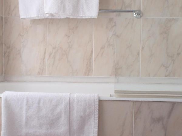 Hotel Ezeiza : photo 6 de la chambre chambre lits jumeaux