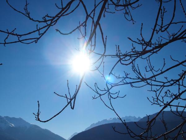 Hotel16 by Messe & Stadion Suisse in Minuten & Late Check-in : photo 6 de la chambre chambre lits jumeaux avec salle de bains commune