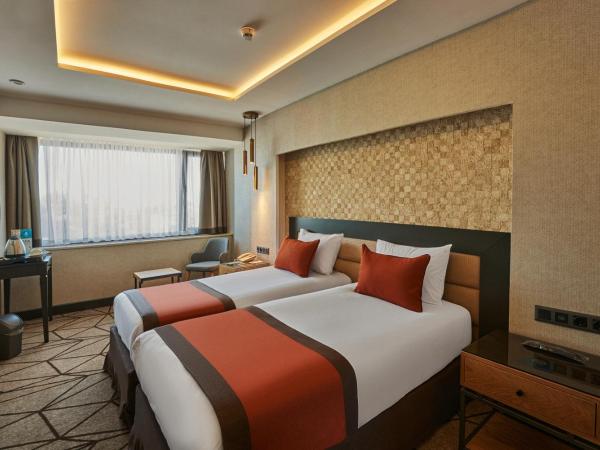 Grand Hotel Gulsoy Old City : photo 1 de la chambre chambre double ou lits jumeaux standard