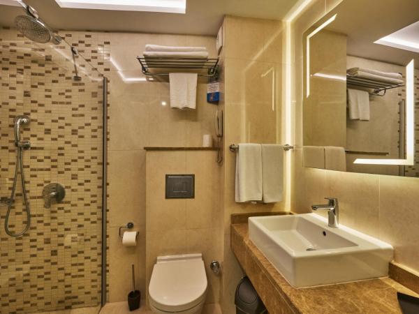 Grand Hotel Gulsoy Old City : photo 5 de la chambre chambre double ou lits jumeaux standard