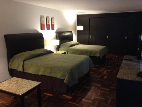 Suites Havre : photo 2 de la chambre penthouse
